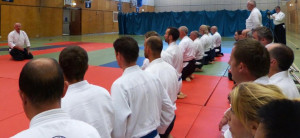 New Forest Aikido Seminar 6