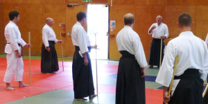 New Forest Aikido Seminar 4