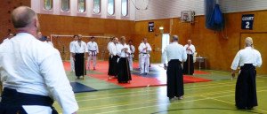 New Forest Aikido Seminar 3