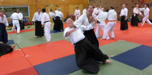 New Forest Aikido Seminar 2
