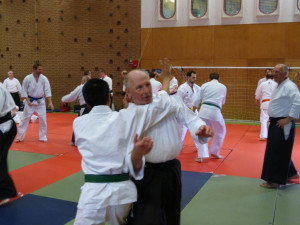New Forest Aikido Seminar 1